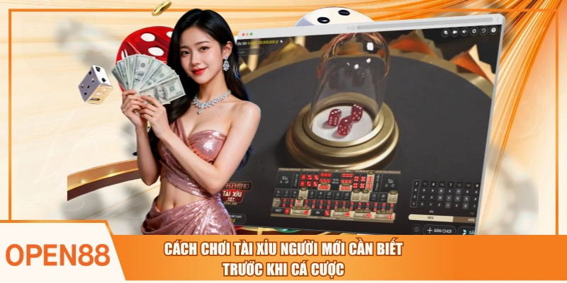Cách Chơi Tài Xỉu Người Mới Cần Biết Trước Khi Cá Cược